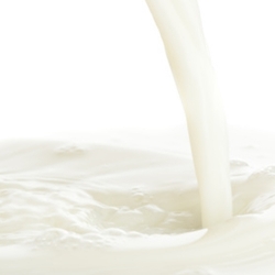 TFA /TPA Malted Milk Aroma - 10ml