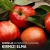 Kırmızı Elma Aroması - 10ml